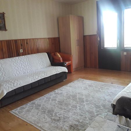 Vila Trtovic Nova Varoš Kültér fotó