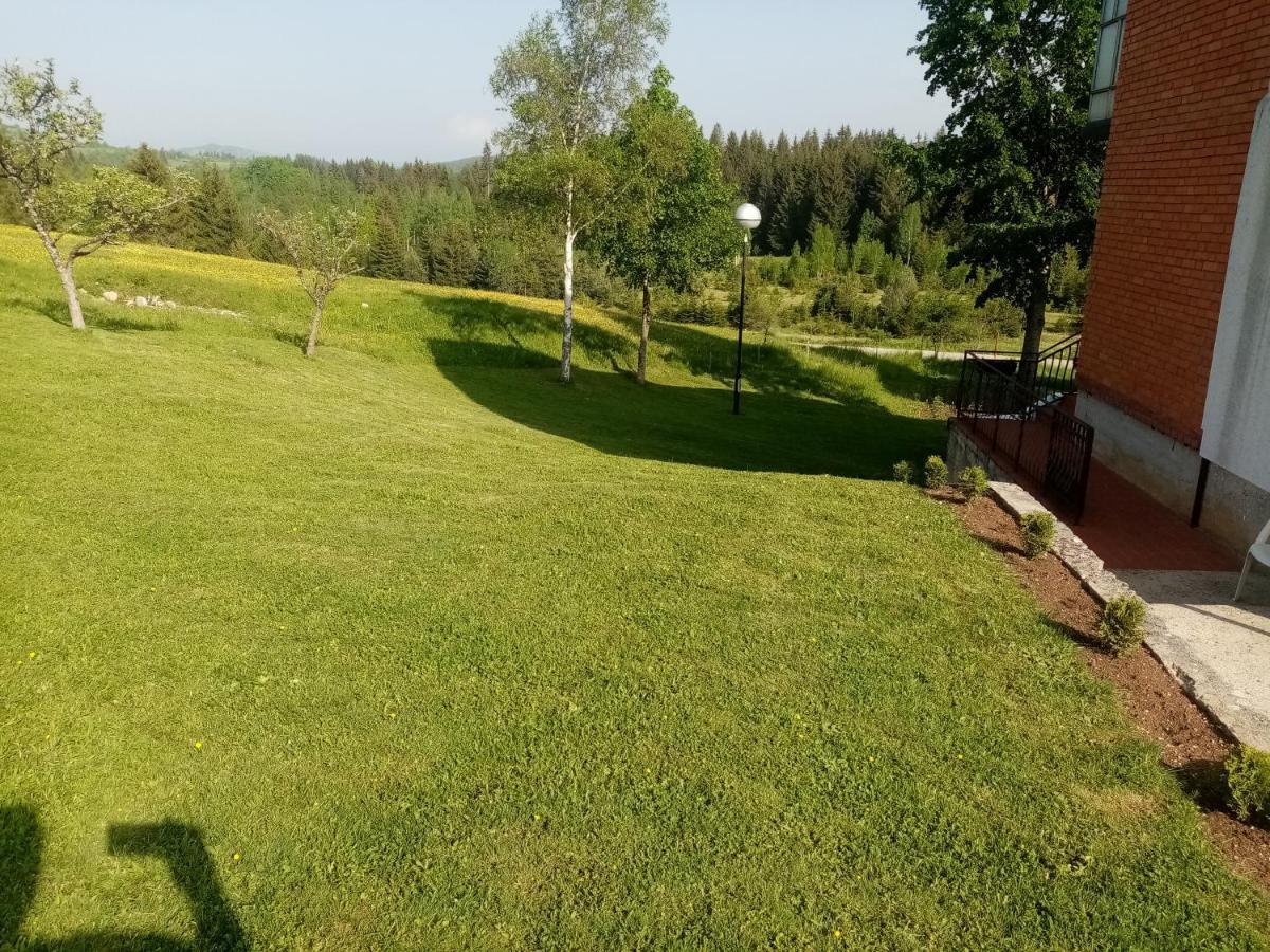 Vila Trtovic Nova Varoš Kültér fotó