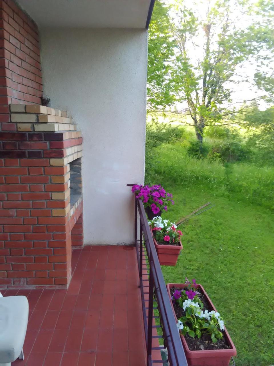 Vila Trtovic Nova Varoš Kültér fotó